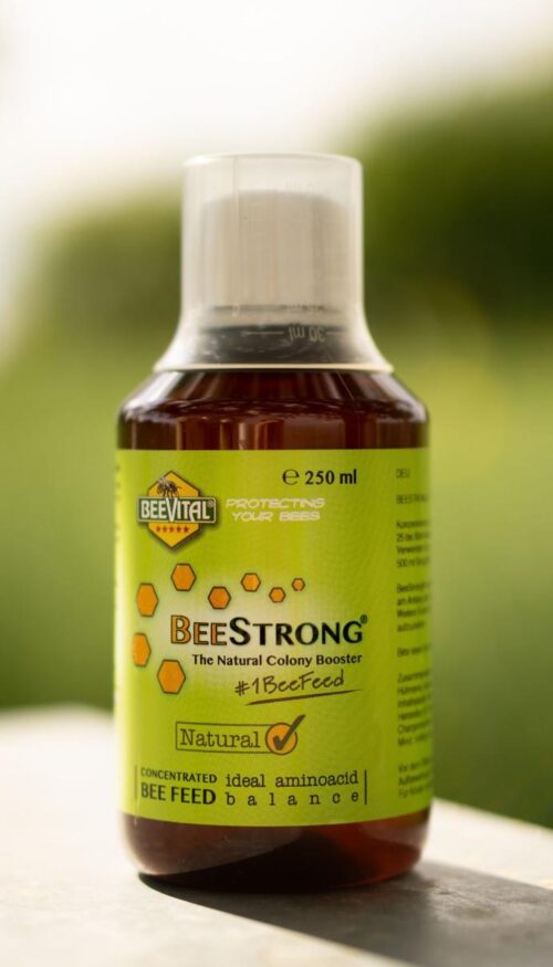 Bijengezondheid en voeding